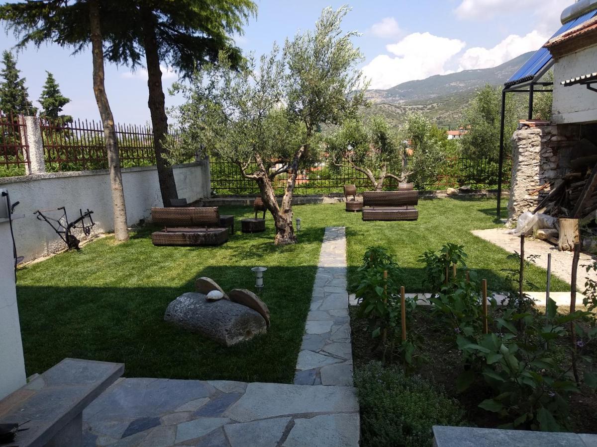 Villa Agnanti Apts And Suites Agio Pnevma Kültér fotó