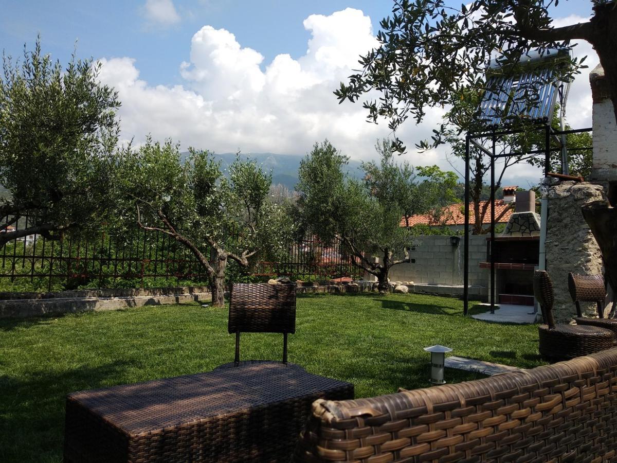 Villa Agnanti Apts And Suites Agio Pnevma Kültér fotó